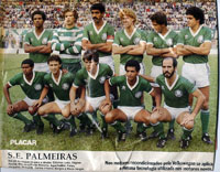 Palmeiras - Le&atilde;o