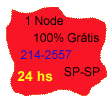 1 Node - 100% Free - 24hs