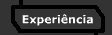 Experi&ecirc;ncia Profissional